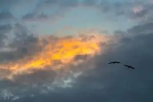 תמונת שניים ממגוון תמונות לסלון ולמשרד מעוצבים