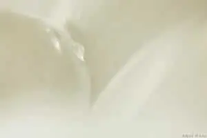תמונת שחור לבן לסלון של טיפה לבנה
