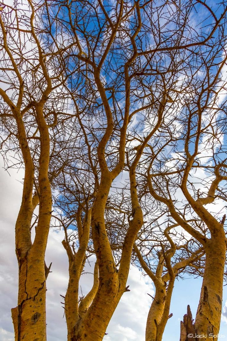 תמונות של סתיו - Photo Art