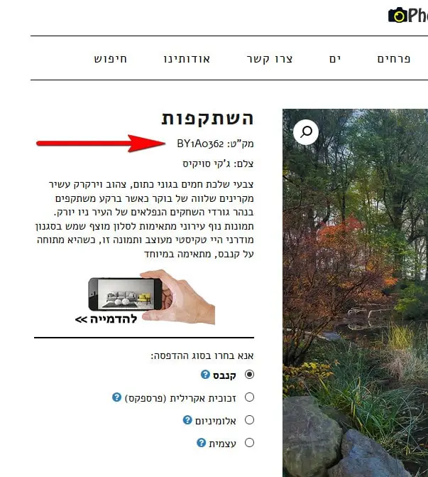 איתור מקט תמונה